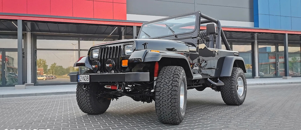 Jeep Wrangler cena 159900 przebieg: 130000, rok produkcji 1991 z Dobra małe 211